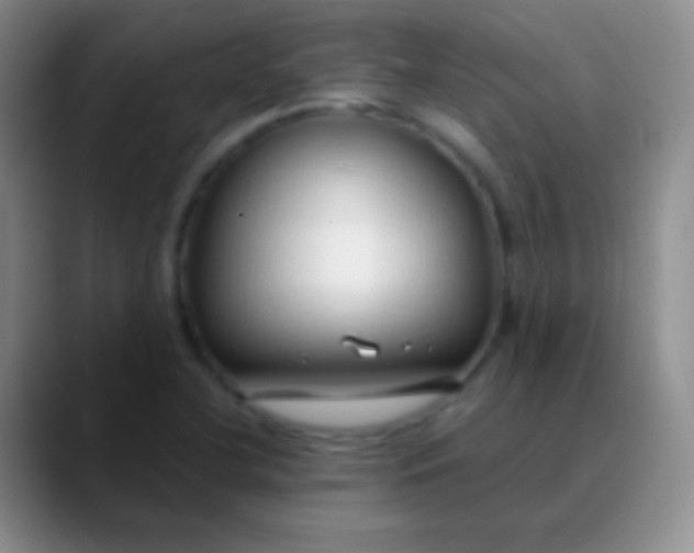 X0000089891412200707192006