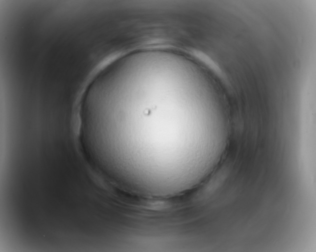 X0000089891413200707192006