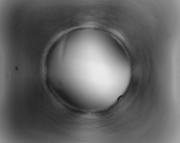 X0000089891414200707192006