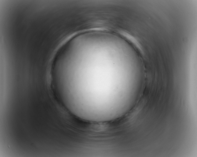 X0000089891415200707192006