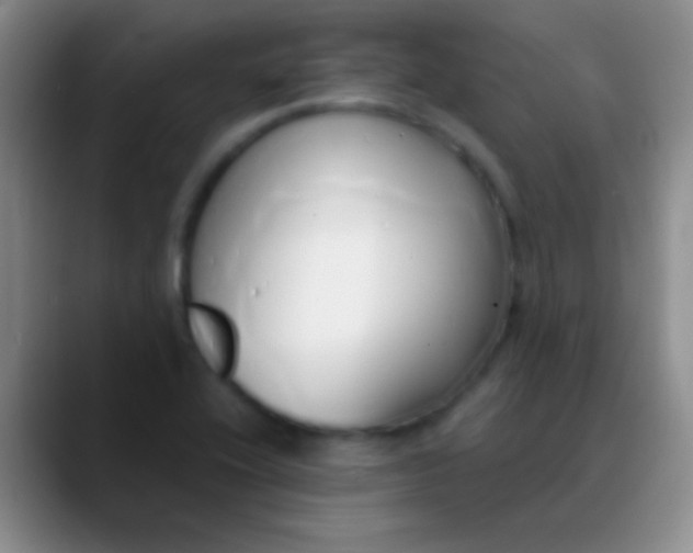 X0000089891416200707192006