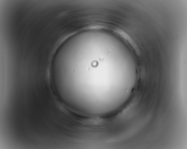 X0000089891417200707192006