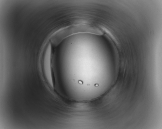 X0000089891418200707192006