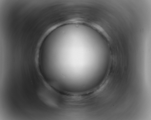 X0000089891421200707192006