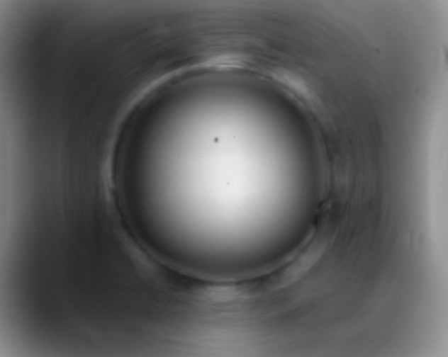 X0000089891422200707192006