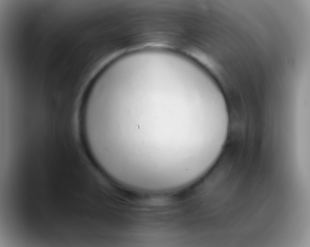 X0000089891423200707192006