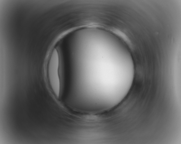 X0000089891424200707192006