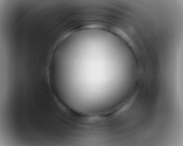 X0000089891425200707192006