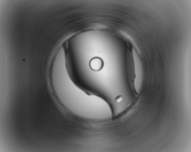 X0000089891426200707192006