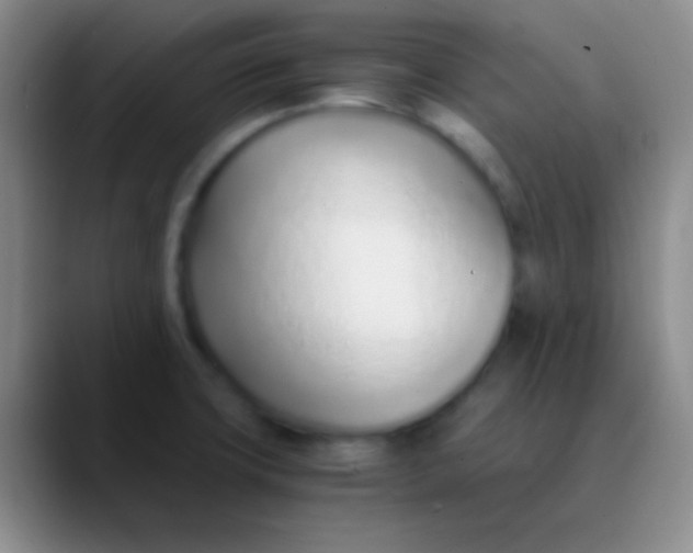 X0000089891427200707192006