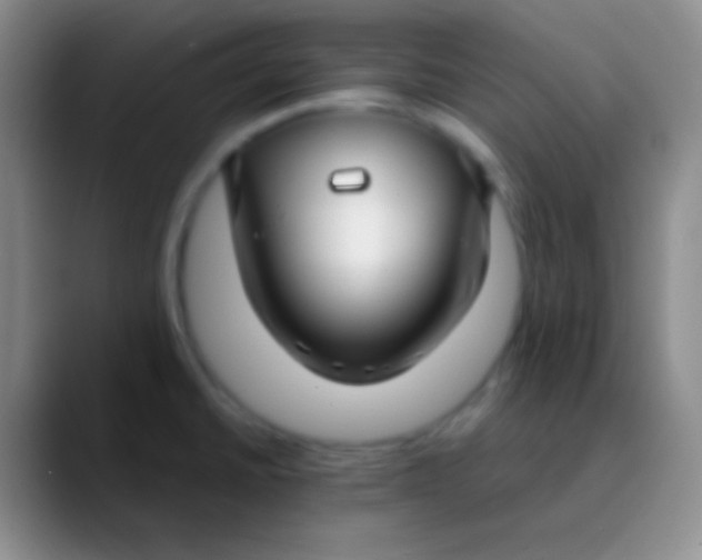 X0000089891430200707192006