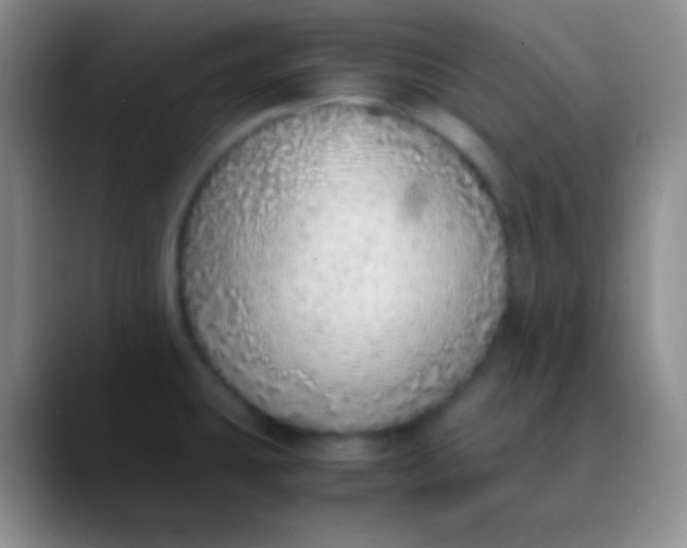 X0000089891431200707192006