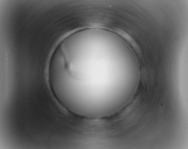 X0000089891432200707192006