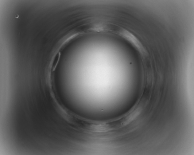 X0000089891434200707192006