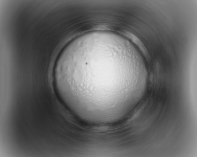 X0000089891435200707192006