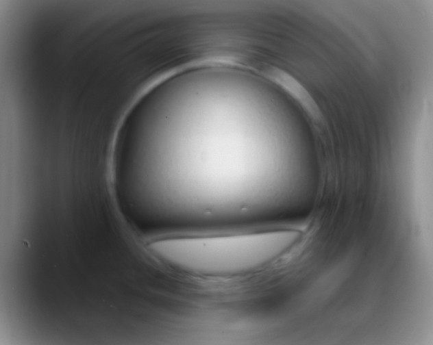 X0000089891436200707192006