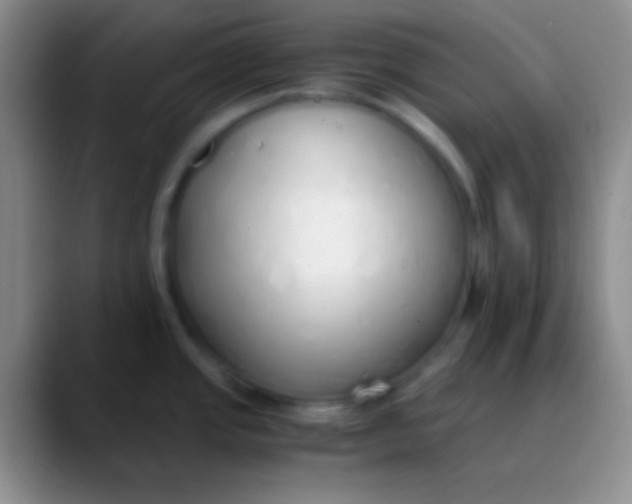 X0000089891437200707192006