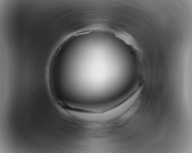 X0000089891438200707192006