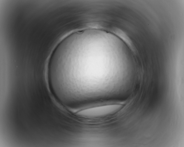 X0000089891439200707192006