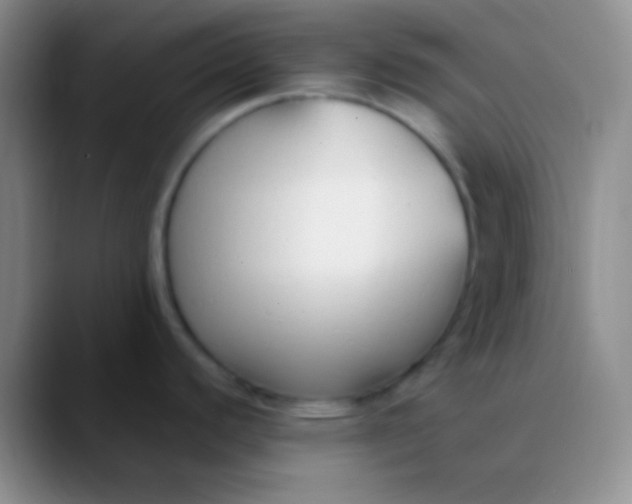 X0000089891440200707192006