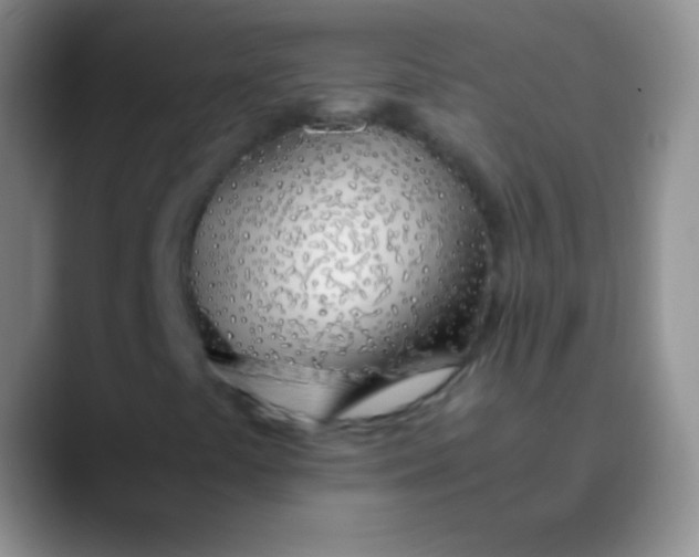 X0000089891441200707192006