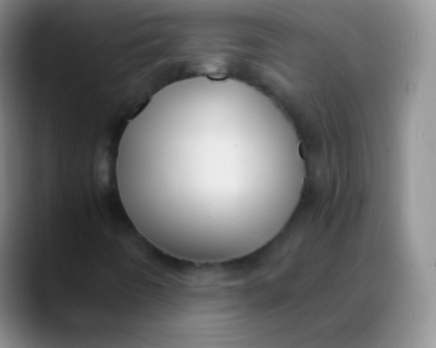 X0000089891442200707192006