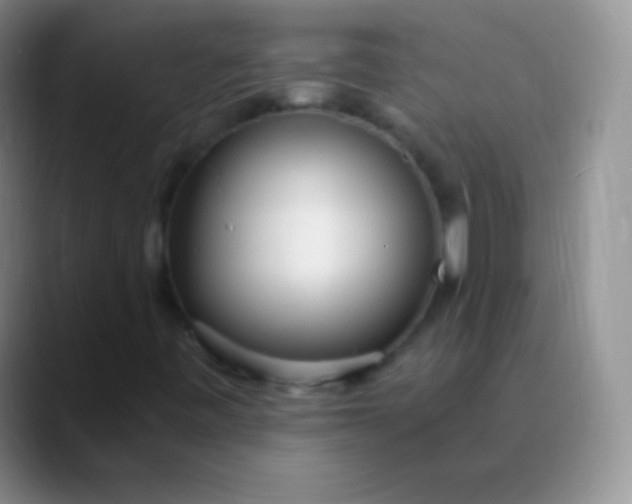 X0000089891443200707192006