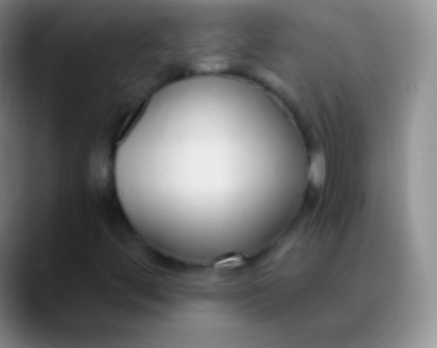 X0000089891444200707192006