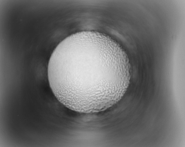 X0000089891446200707192006