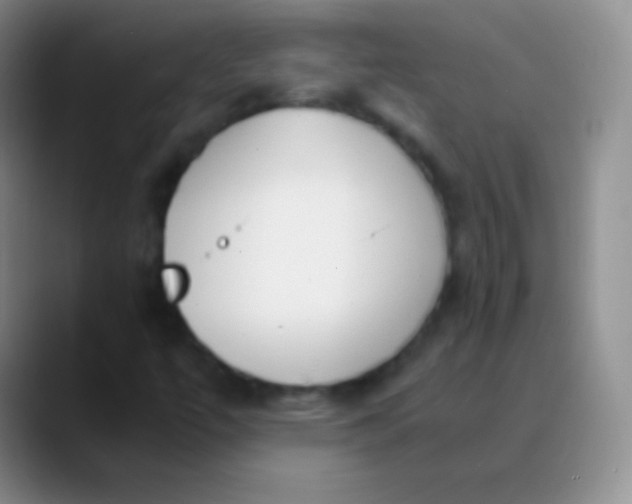 X0000089891447200707192006