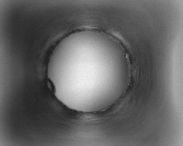 X0000089891448200707192006