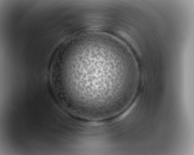 X0000089891449200707192006