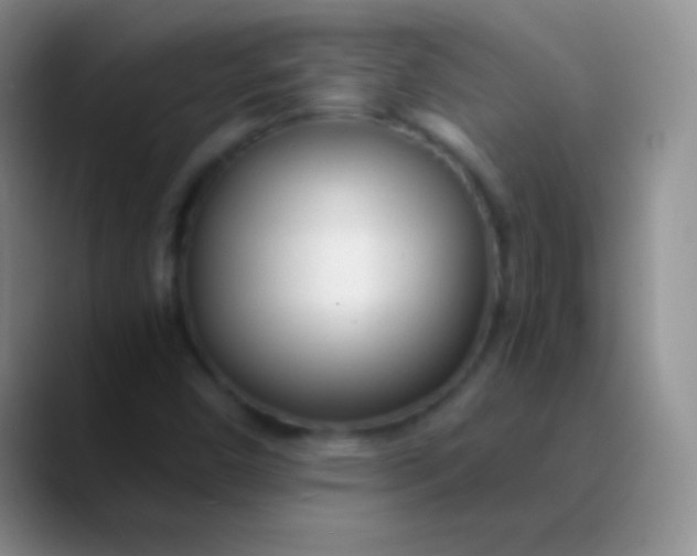 X0000089891450200707192006