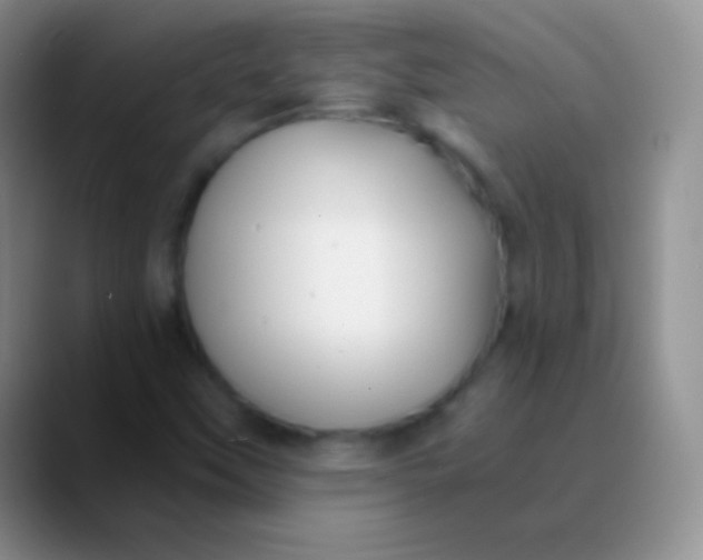 X0000089891451200707192006