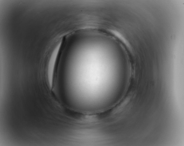 X0000089891453200707192006