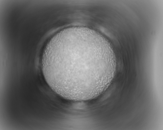 X0000089891454200707192006