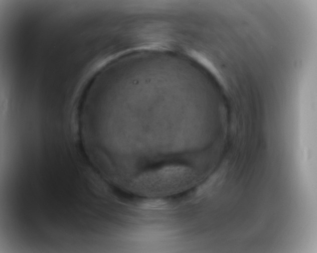 X0000089891455200707192006