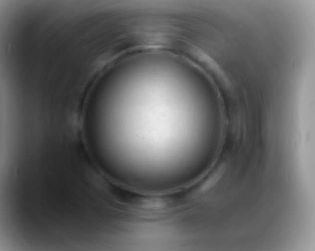 X0000089891457200707192006