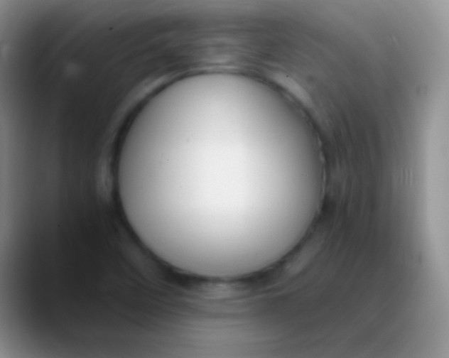 X0000089891458200707192006