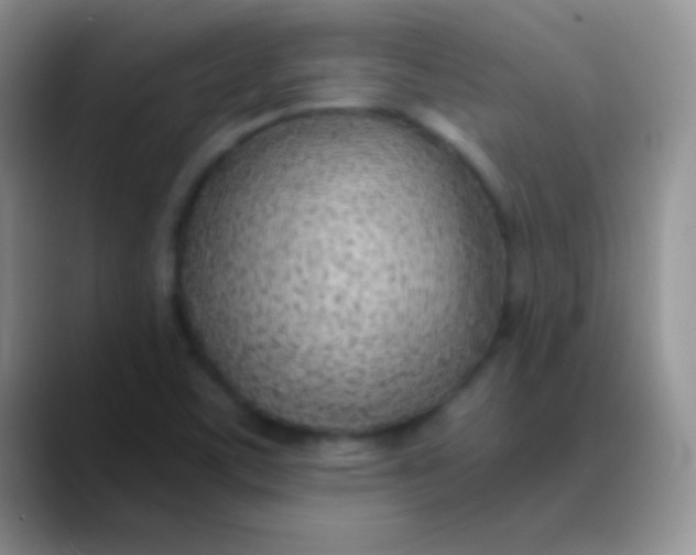 X0000089891459200707192006