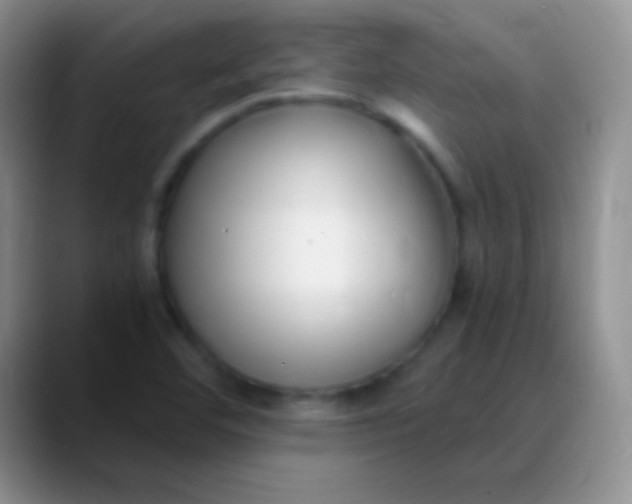 X0000089891460200707192006