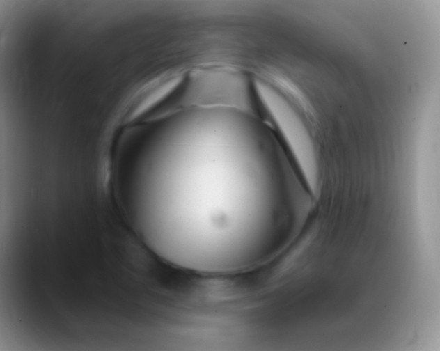 X0000089891461200707192005