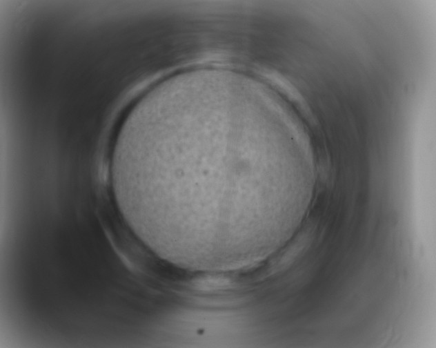 X0000089891462200707192005