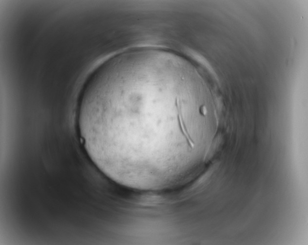 X0000089891463200707192005