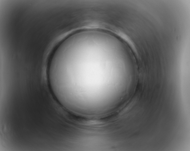 X0000089891464200707192005