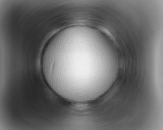 X0000089891466200707192005