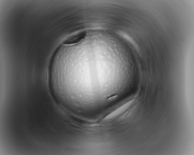 X0000089891467200707192005