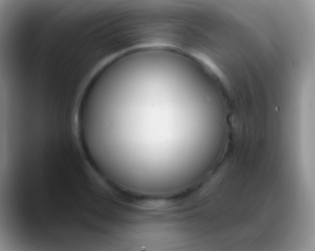 X0000089891468200707192005