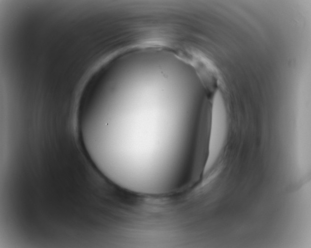 X0000089891469200707192005