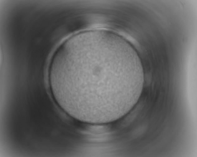 X0000089891470200707192005